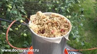 Измельчение и отжим яблок