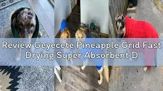 Review Geyecete Pineapple Grid Fast Drying Super Absorbent Dog Cat Bath Robe Towel - Purple, XL