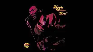 Muddy Waters &ndash; You Don't Have To Go