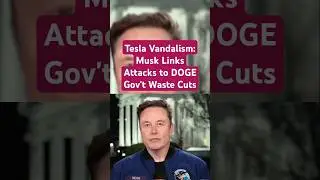 Tesla Vandalism: Musk Links Attacks to DOGE Gov't Waste Cuts