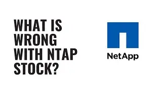 NetApp Stock: The AI Play Wall Street Is Missing (80% Upside Potential?)