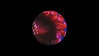 Ferrari - Subacqueo (Bell Towers Remix)