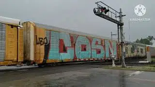 Railfanning On The CSX Saginaw/Toledo Terminal In Carleton, MI. - 7/29/2023 Mini Railfanning Movie
