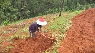 Strong Farmer Hoeing Soil Using Traditional Hand Tools #RuralAgriculture #TraditionalFarming