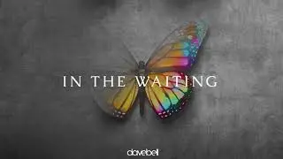 'In The Waiting' | Dave Bell (Official Lyric Video)
