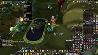 FINAL LEVELLING STRETCH | TBC PROT PALADIN 68-70 | DREAMSCYTHE ALLIANCE | ONE MILLION DUNGEONS