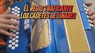 El Regio Traficante-Los Cadetes De Linares-Acordeon Fa-Si Bemol