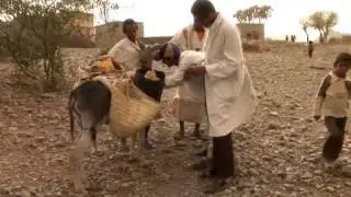 Healthy Livestock Means Better Lives in Yemen