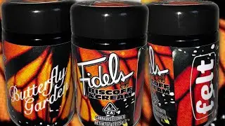 Fidels x Felt: BISCOFF & CREAM strain review