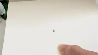 New mini magnets!
