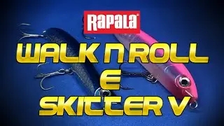 Rapala Walk n Roll e Skitter V - Recensione e consigli su come pescare le spigole a topwater 🔴🐟