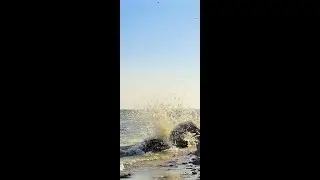 Золотая Коса. Азовское море. Таганрог