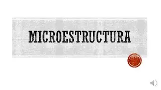 Microestructura