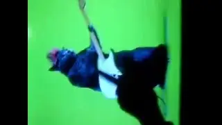 MOV00040