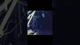 Real witch kuntilanank caught on camera #scaryviedo #ghostvideo #scary  #paranormal #kuntilanak