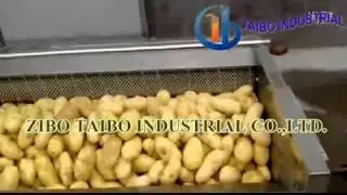 Potato peeler brush roller type