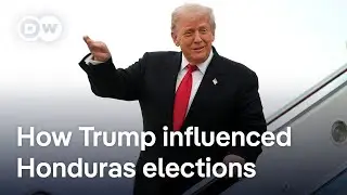 Conservative candidate Nasray Asfura leads in Honduras elections | DW News