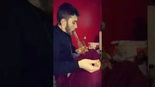 Fat dab New Year's Eve 2018/2019