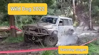 Wild dog 2022 Qld assault. Jesse Gleeson road trips to Willow Grove to play. Day 2.