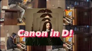 The BEST Canon in D you will hear!