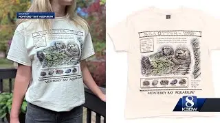 Taylor Swift-worn vintage tee inspires Monterey Bay Aquarium otter fundraiser, hits $1.3M goal