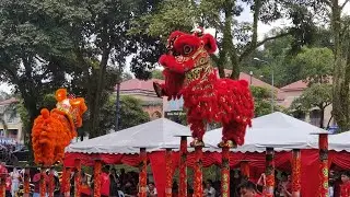 CNY 2024 // Acrobatic Lion Dance by 雪州万扰玄龙体育会Rawang Xuan Long //