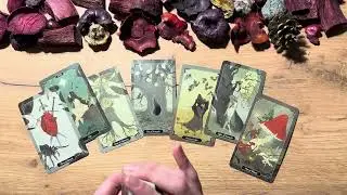 THEY ARE PLANNING SOMETHING YOU DONT KNOW! Tarot reading twin flame