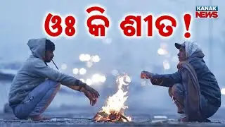 Odisha Cold Wave Update: Yellow Alert in 5 Districts, Night Temp Drops Record Low