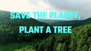 &iquest;CU&Aacute;LES SON LOS BENEFICIOS DE PLANTAR UN &Aacute;RBOL?