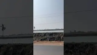 కైకలూరు లో ఉన్న కొల్లేరు సరస్సు&hellip;#kolleru #lake #freshwater #kaikaluru #trending #shorts #ytshorts
