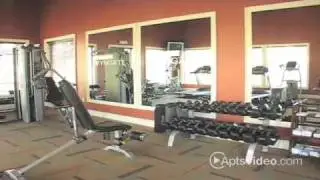 ForRent.com Wyngate Apartments For Rent in Surprise, AZ