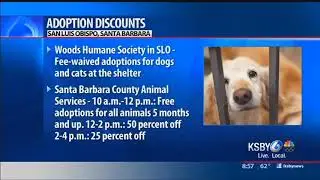 Local shelters offering adoption deals this weekend