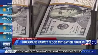 Hurricane Harvey Flood Mitigation Fight - Sharron Melton
