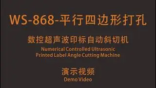 WS 868 Angle Cut  Hole Punch Ultrasonic Cut