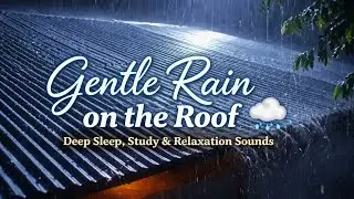 &ldquo;Gentle Rain on the Roof 🌧️ | Deep Sleep, Study & Relaxation Sounds&rdquo;