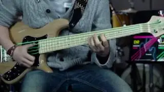 DR Strings NEONS for Bass