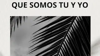 Banda El Recodo -¿Que Somos Tu y Yo? (Vol.2) @bandaelrecodooficial 