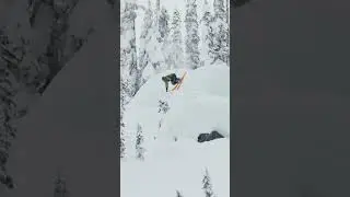 Pillow Bashing with Sammy C