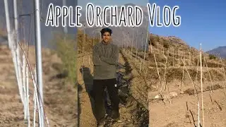 Apne Apple Orchard me । Uttarkashi ।Nature Boi 