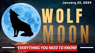 🌕 FULL MOON JANUARY 2024 | EVERYTHING YOU NEED TO KNOW!
