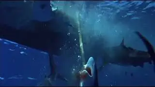 Spencer Tracy Fight with Sharks - The Old Man And The Sea (1958)