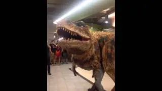 Hilarious dinosaur prank in Groupon's office