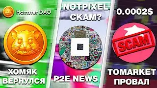 ХОМЯК ВЕРНУЛСЯ! NOTPIXEL - КОНЕЦ МАЙНИНГА и КАПЧА! ПРОВАЛ ЛИСТИНГА TOMARKET! НОВОСТИ P2E #1