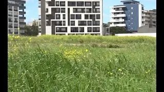 Parte il cantiere del Parco della rinascita (ex Fibronit): 