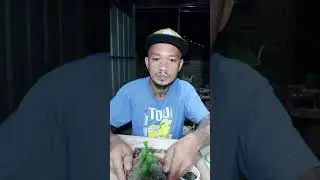 Cactus micro grafting tutorial