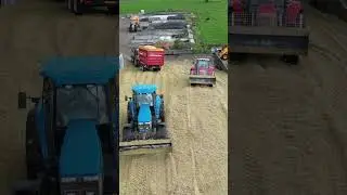 Mais Silage | Ford 8670 + Massey Ferguson | Van Dijk Kalveren | 2022