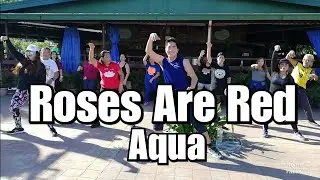AQUA - ROSES ARE RED | Dance Fitness | #DanceNice