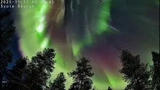 Massive aurora borealis in Sy&ouml;te, Finland caused by X5.1-class Sun eruption from sunspot AR4274
