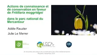 Conf&eacute;rence : Actions de connaissance et de conservation en faveur de Fritillaria moggridgei