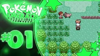 Pokemon Emerald Randomizer Taglocke Episode 01 w/ Mikeyfb! 